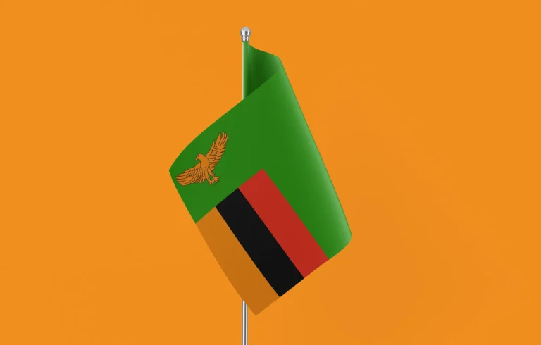 Zambia courts Spanish investment in agriculture, energy and infrastructure
